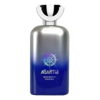 Agarthi Magnetic Maze