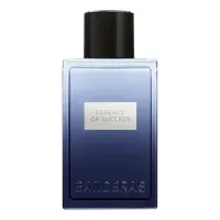 Banderas Essence Of Success