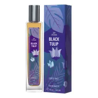 Brocard Day Dreams Black Tulip