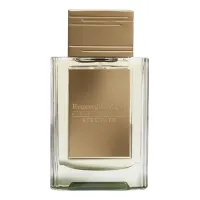 Ermenegildo Zegna Strength