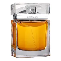 Mont Blanc Homme Exceptionnel