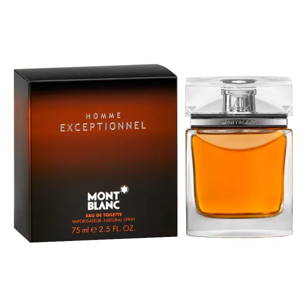 Mont Blanc Homme Exceptionnel