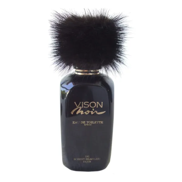 Robert Beaulieu Vison