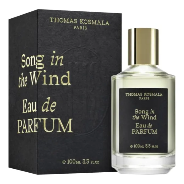 Thomas Kosmala Song In The Wind