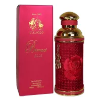 U.S. Polo Die Valkorie