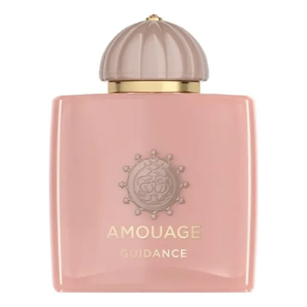 Amouage Guidance