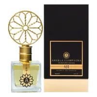 Angela Ciampagna Aer