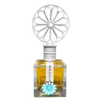 Angela Ciampagna Miracula