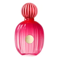 Banderas The Icon For Women