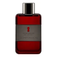 Banderas The Secret Temptation