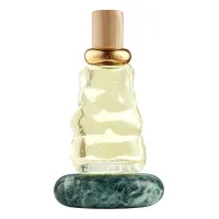 Bottega Veneta Acqua Sale