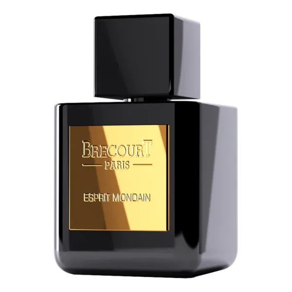 Brecourt Esprit Mondain