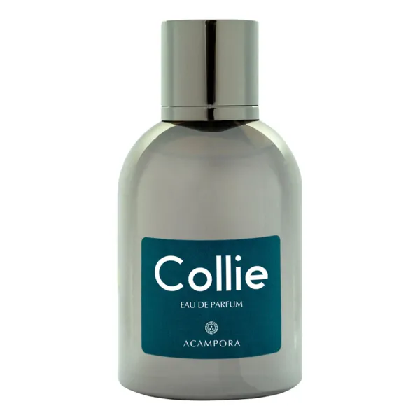 Bruno Acampora Collie