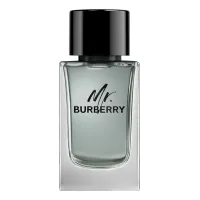 Burberry Mr. Burberry