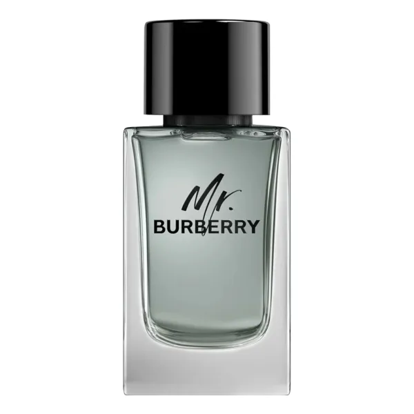 Burberry Mr. Burberry