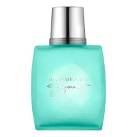 Burberry Summer Men 2013