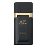 Cartier Santos Concentree