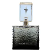 Cesare Paciotti For Him