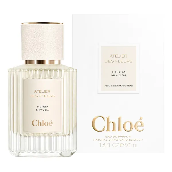 Chloe Atelier Des Fleurs Herba Mimosa