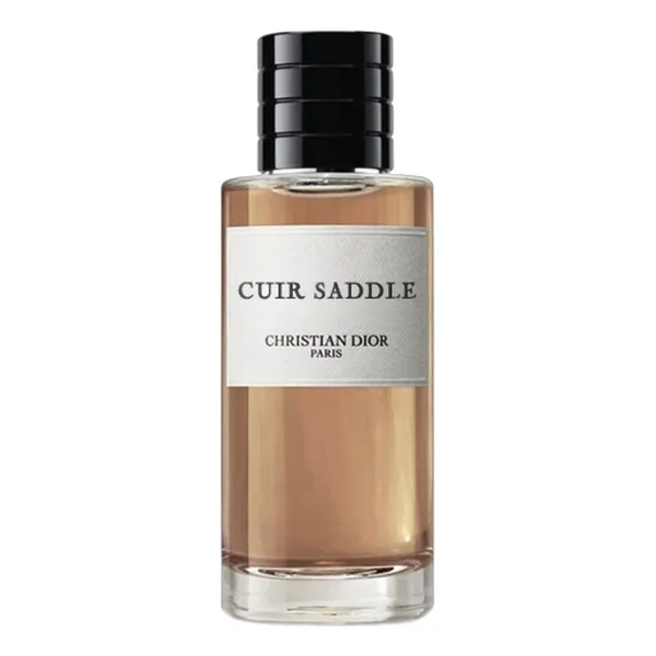 Christian Dior Cuir Saddle