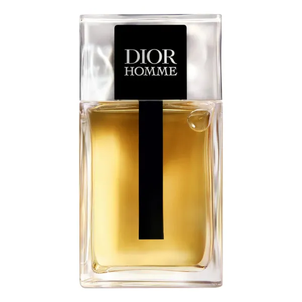 Christian Dior Homme 2025