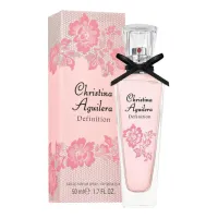 Christina Aguilera Definition