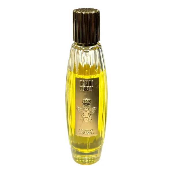 Cristian Cavagna Regina Vergine