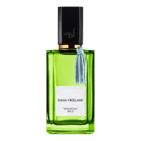 Diana Vreeland Vivaciously Bold