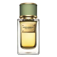 Dolce & Gabbana Velvet Bergamot For Men