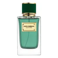 Dolce & Gabbana Velvet Cypress
