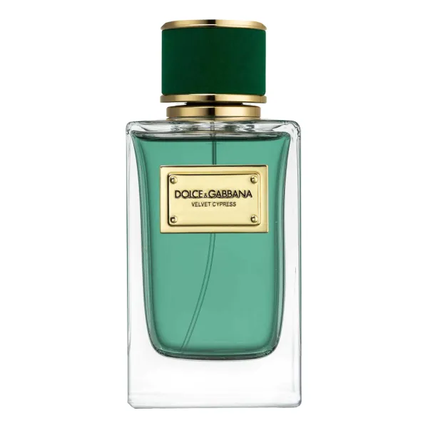 Dolce & Gabbana Velvet Cypress