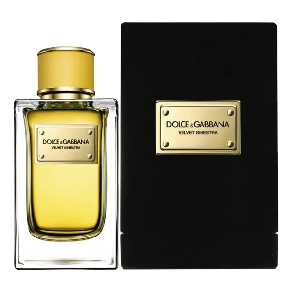Dolce & Gabbana Velvet Ginestra