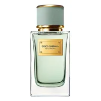 Dolce & Gabbana Velvet Infusion