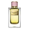 Dolce & Gabbana Velvet Rose