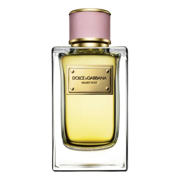 Dolce & Gabbana Velvet Rose