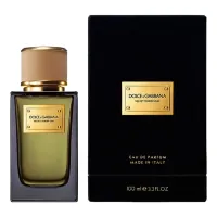 Dolce & Gabbana Velvet Tender Oud
