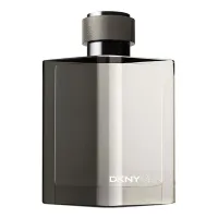 Donna Karan Men 2009 (Silver)