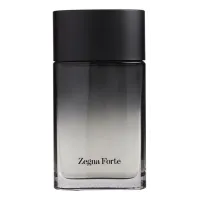 Ermenegildo Zegna Forte Man