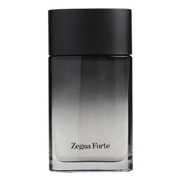 Ermenegildo Zegna Forte Man