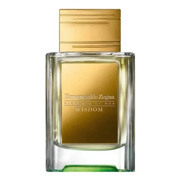 Ermenegildo Zegna Wisdom