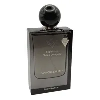 Expensive Chaos Company Can You Hear Me?