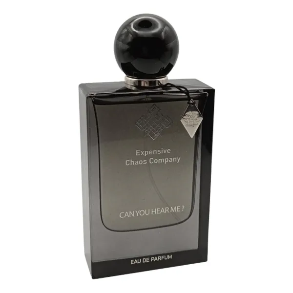 Expensive Chaos Company Can You Hear Me?