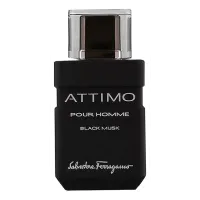 Ferragamo Attimo Black Musk Pour Homme