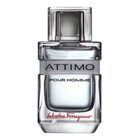 Ferragamo Attimo Pour Homme