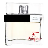 Ferragamo F By Ferragamo Pour Homme