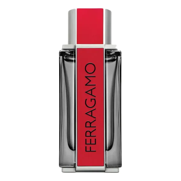 Salvatore Ferragamo Ferragamo Red Leather