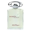 Salvatore Ferragamo Incanto Pour Homme