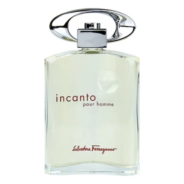 Salvatore Ferragamo Incanto Pour Homme