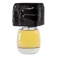 Filippo Sorcinelli Delire De Voyage Notre-Dame 15.4.2019