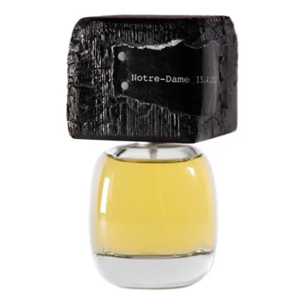 Filippo Sorcinelli Delire De Voyage Notre-Dame 15.4.2019